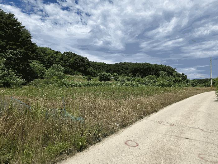 법원경매 2025타경225 사진3 | 강릉시 연곡면 삼산리 844 전답 경매