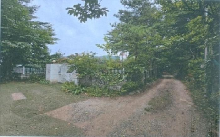 법원경매 2025타경256 사진14 | 동해시 천곡동 504-3 주택건물 경매