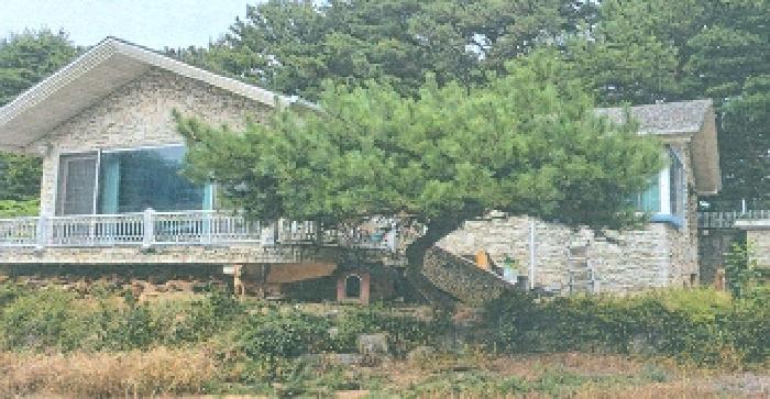 법원경매 2025타경256 사진18 | 동해시 천곡동 504-3 주택건물 경매