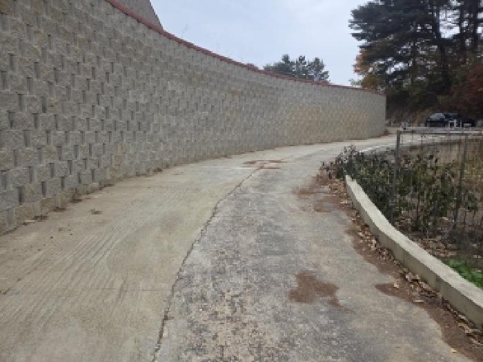 법원경매 2025타경276 사진17 | 삼척시 근덕면 전 경매