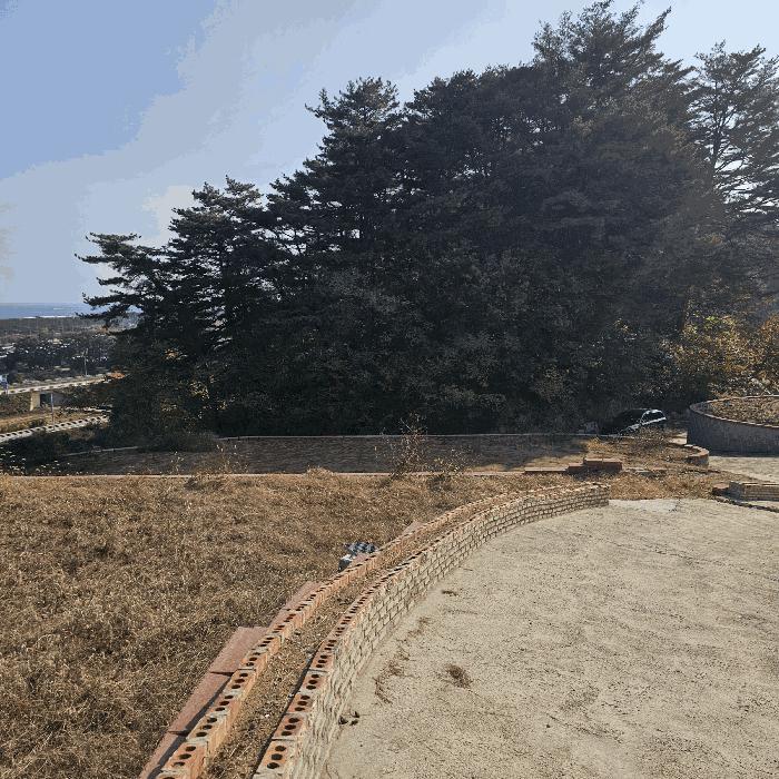 법원경매 2025타경276 사진2 | 삼척시 근덕면 전 경매