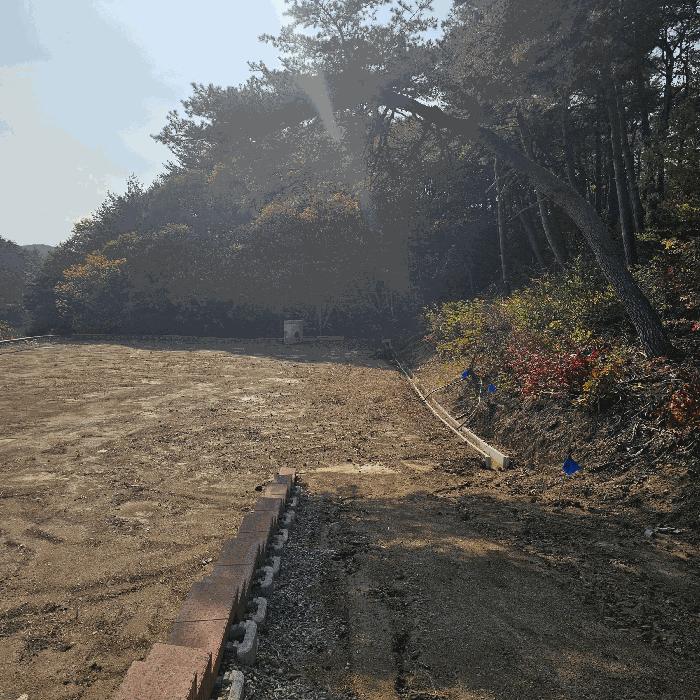 법원경매 2025타경276 사진3 | 삼척시 근덕면 전 경매
