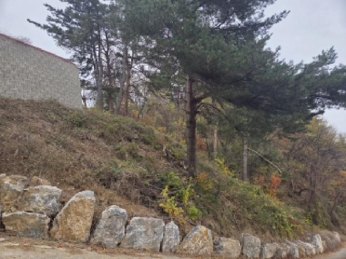 법원경매 2025타경276 사진7 | 삼척시 근덕면 전 경매