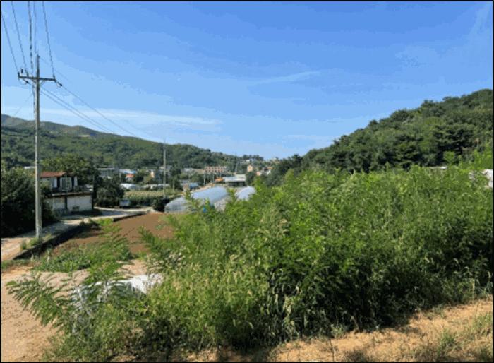 강원특별자치도 동해시 망상동 320-14 법원경매 물건 대표사진