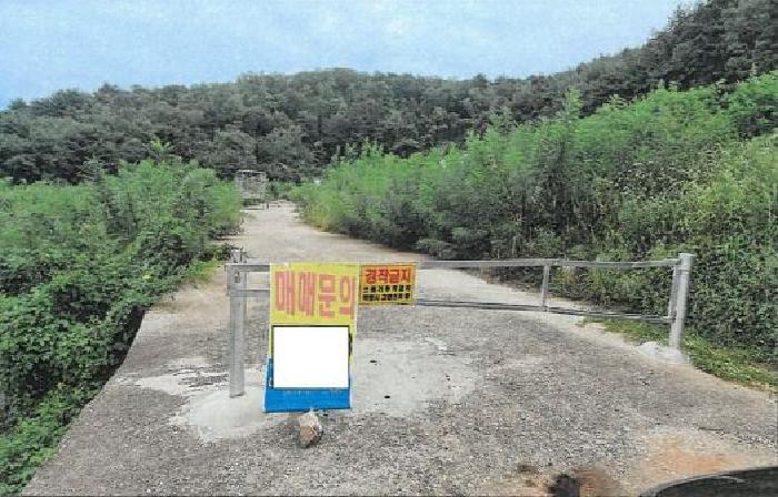 법원경매 2025타경30681 사진21 | 동해시 망상동 320-14 대지 경매