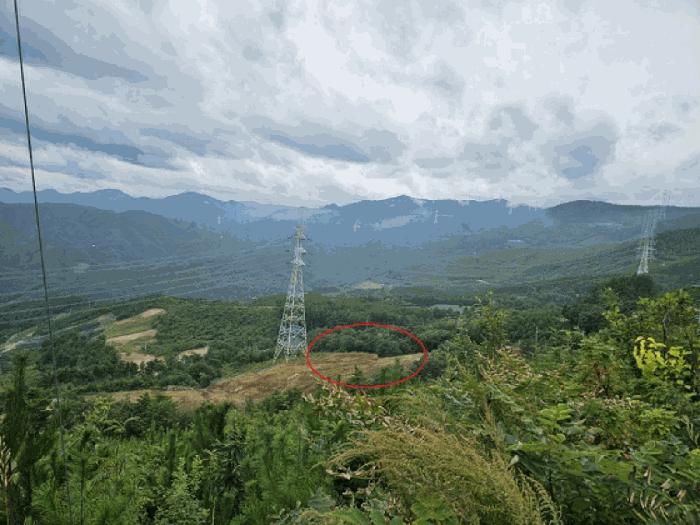 법원경매 2025타경30733 사진3 | 삼척시 도계읍 점리 42-1 전 경매
