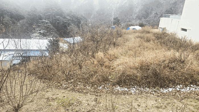 법원경매 2025타경30783 사진4 | 강릉시 연곡면 삼산리 818-7 펜션(캠핑장) 경매