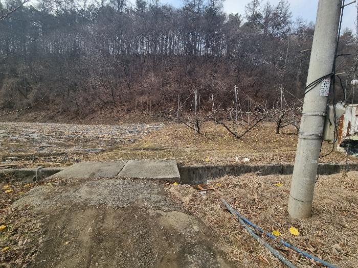 2024타경36264 법원경매 사진3 | 충북 충주시 전 경매