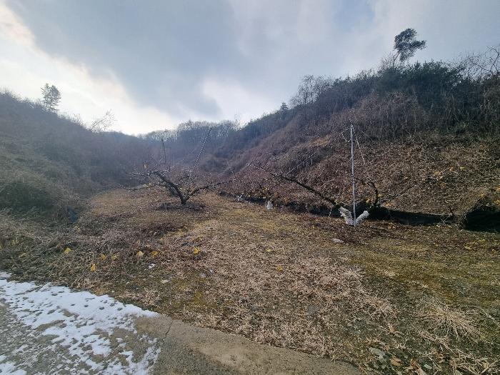 2024타경36264 법원경매 사진4 | 충북 충주시 전 경매