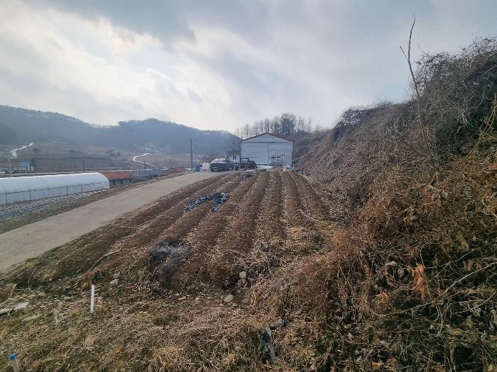 2024타경36264 법원경매 사진5 | 충북 충주시 전 경매