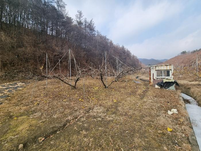 2024타경36264 법원경매 사진7 | 충북 충주시 전 경매