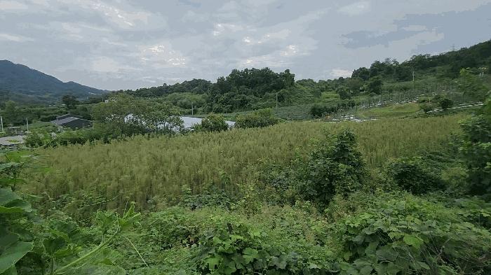 충청북도 단양군 어상천면 방북리 67 법원경매 물건 대표사진