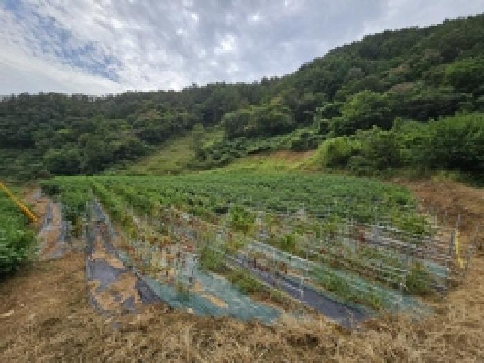 2025타경157 법원경매 사진6 | 충북 단양군 전 경매
