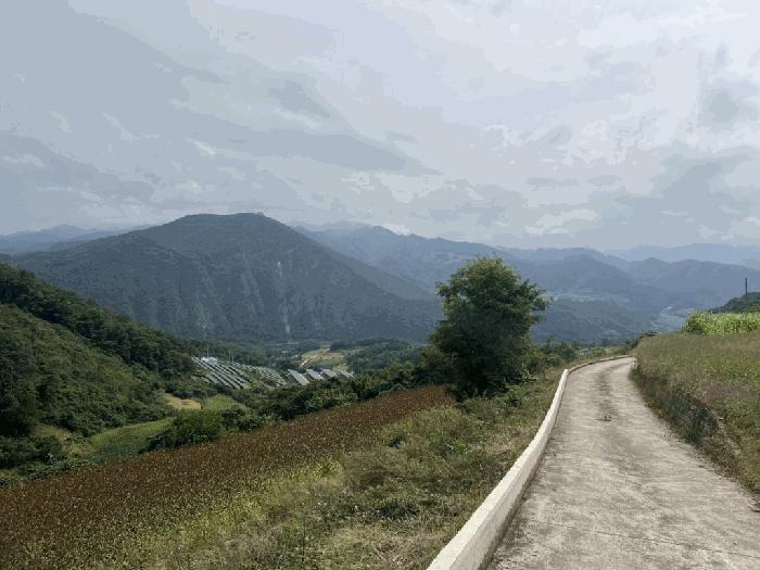 2025타경167 법원경매 사진4 | 충북 단양군 전 경매