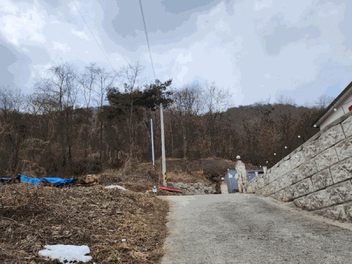 2025타경5259 법원경매 사진4 | 충북 제천시 임야 경매