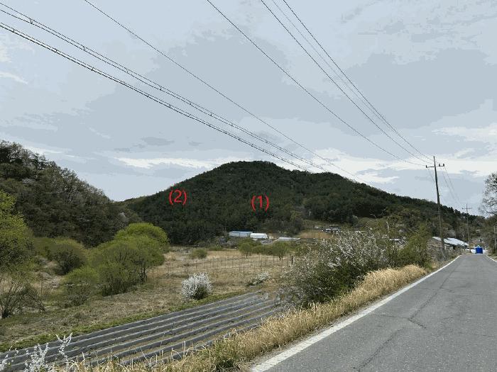 2025타경502121 법원경매 사진5 | 대전 동구 임야 경매