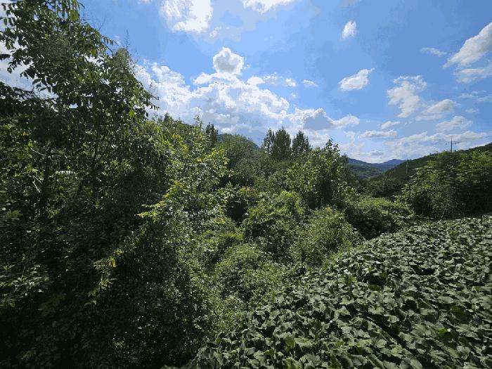 충청북도 제천시 수산면 원대리 222 법원경매 물건 대표사진
