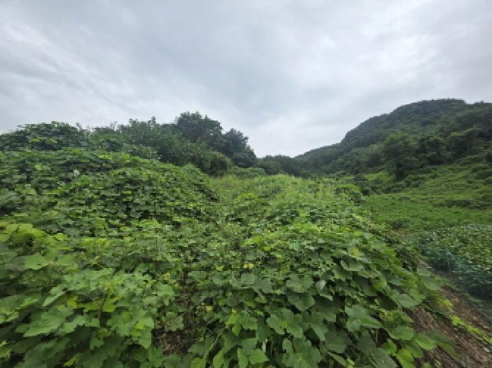 2025타경5409 법원경매 사진13 | 충북 제천시 전 경매