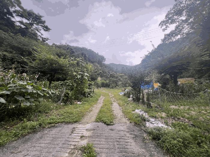 2025타경5413 법원경매 사진2 | 충북 제천시 임야 경매