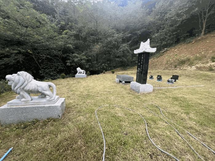 2025타경5413 법원경매 사진4 | 충북 제천시 임야 경매