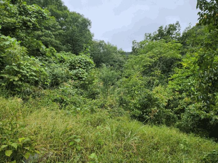 2025타경5417 법원경매 사진7 | 충북 제천시 전 경매