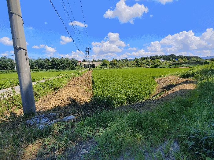 충청남도 논산시 연무읍 마전리 667-3 법원경매 물건 대표사진