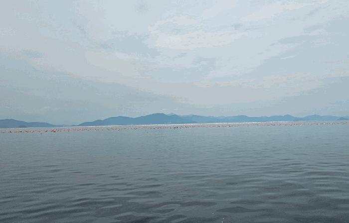 2025타경576 법원경매 사진2 | 통영 사량면 어업권 경매