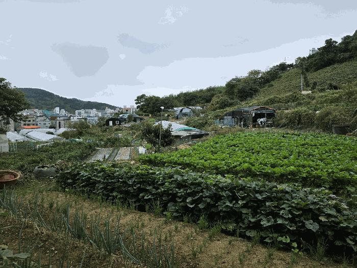 법원경매 2025타경618 사진5 | 통영시 무전동 50 경남 통영시 토지 경매