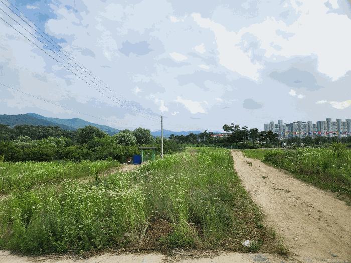 2025타경30574 법원경매 사진5 | 충북 음성군 연립주택,다세대,빌라 경매