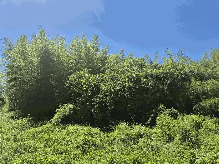 법원경매 2025타경409 사진3 | 포항시 남구 장기면 양포리 46 답 경매