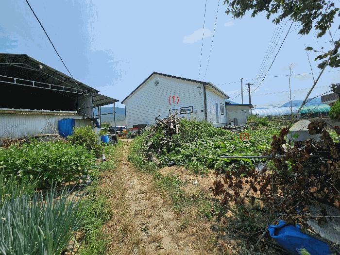 법원경매 2025타경414 사진5 | 포항시 북구 기계면 성계리 648 주택건물 경매