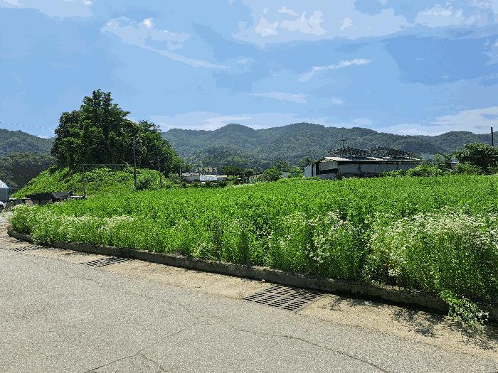 2025타경30592 법원경매 사진10 | 충북 충주시 전 경매
