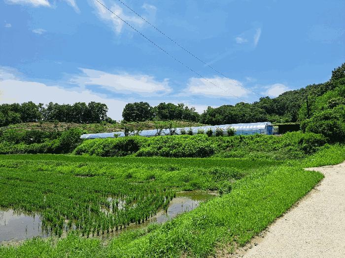2025타경30592 법원경매 사진6 | 충북 충주시 전 경매