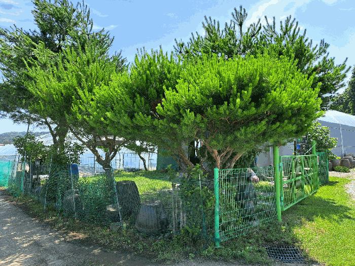 2025타경30592 법원경매 사진7 | 충북 충주시 전 경매