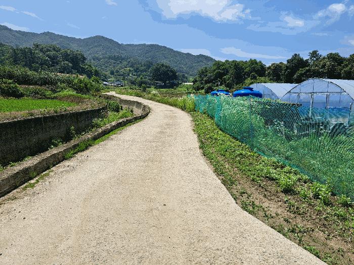 2025타경30592 법원경매 사진9 | 충북 충주시 전 경매