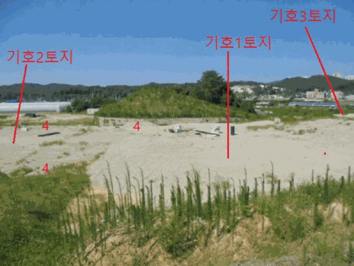 2025타경30635 법원경매 사진5 | 충북 음성군 임야 경매
