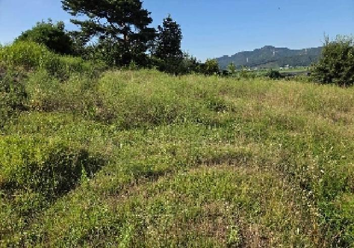 2025타경12148 법원경매 사진21 | 충남 아산시 임야 경매