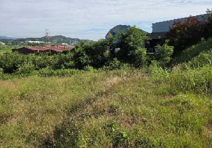 2025타경12148 법원경매 사진22 | 충남 아산시 임야 경매