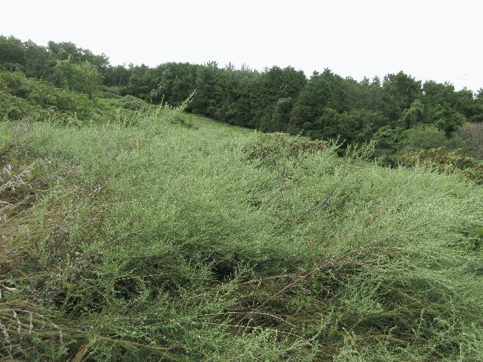 경상남도 거제시 사등면 창호리 368-2 법원경매 물건 대표사진