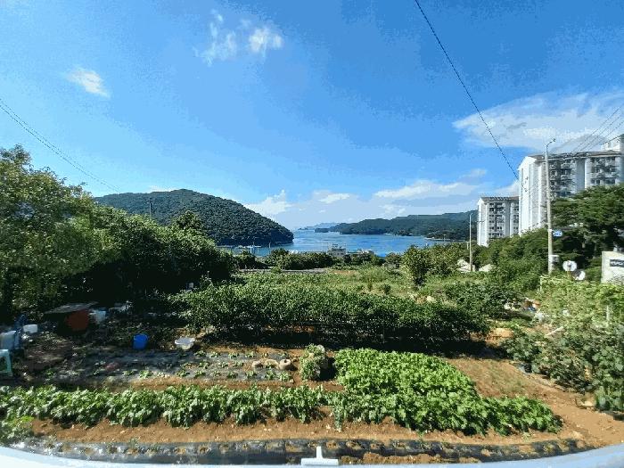 2025타경21922 법원경매 사진19 | 경남 통영시 대지,임야,전답 경매