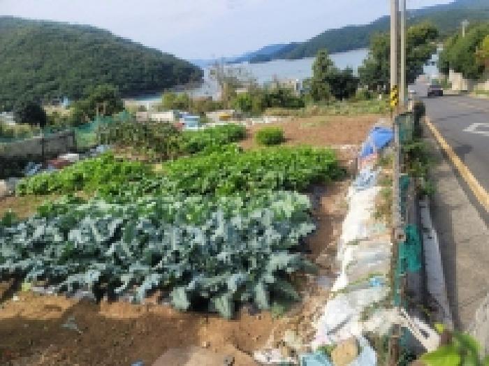 2025타경21922 법원경매 사진34 | 경남 통영시 대지,임야,전답 경매