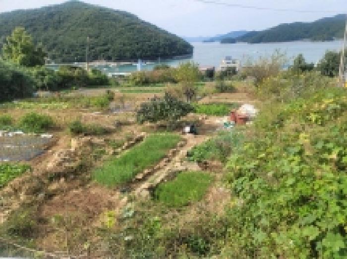 2025타경21922 법원경매 사진36 | 경남 통영시 대지,임야,전답 경매