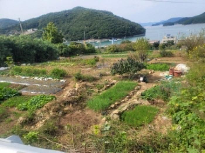 2025타경21922 법원경매 사진37 | 경남 통영시 대지,임야,전답 경매