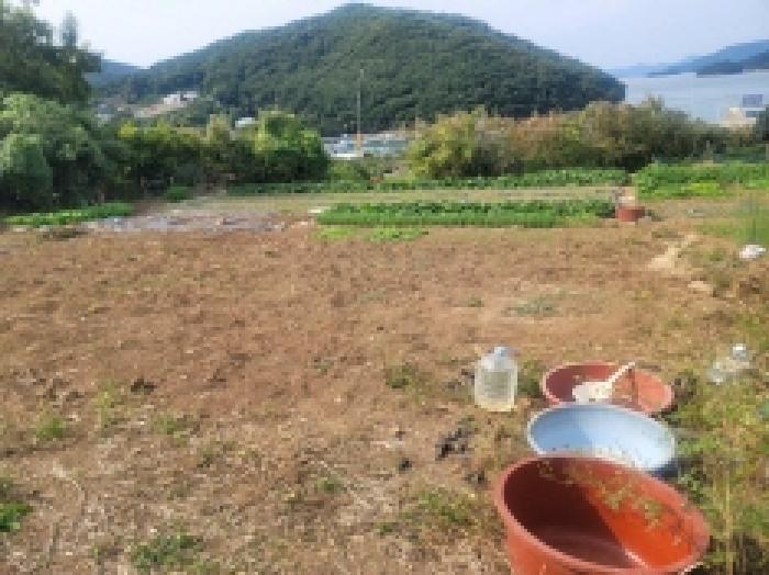2025타경21922 법원경매 사진40 | 경남 통영시 대지,임야,전답 경매