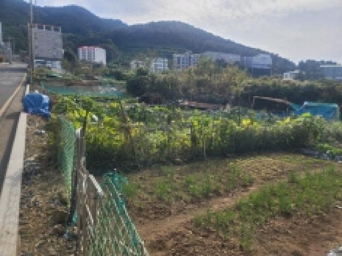 2025타경21922 법원경매 사진44 | 경남 통영시 대지,임야,전답 경매