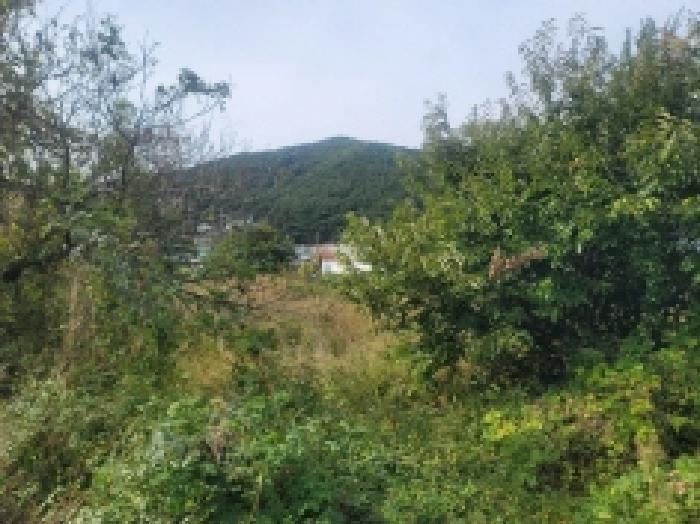 2025타경21922 법원경매 사진49 | 경남 통영시 대지,임야,전답 경매
