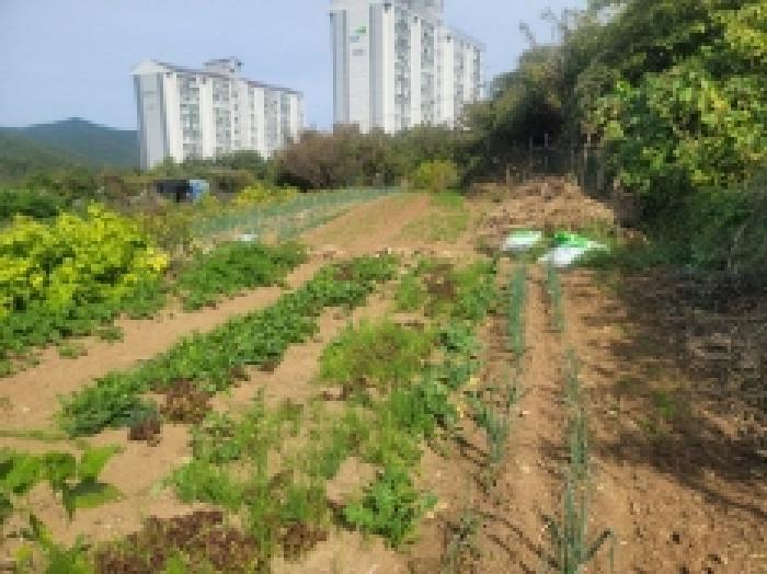 2025타경21922 법원경매 사진59 | 경남 통영시 대지,임야,전답 경매