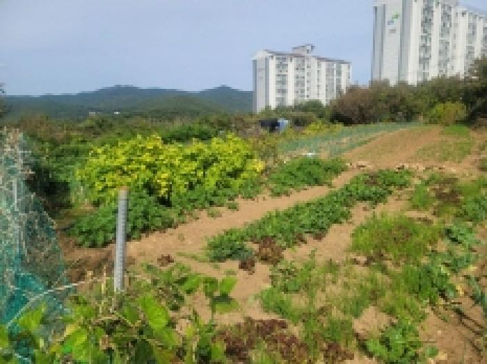 2025타경21922 법원경매 사진60 | 경남 통영시 대지,임야,전답 경매