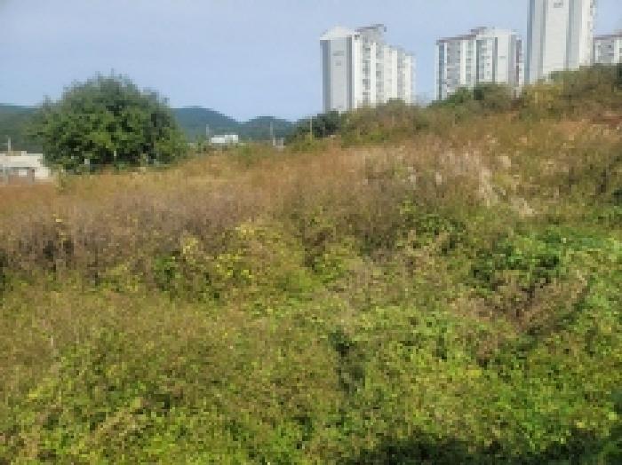 2025타경21922 법원경매 사진72 | 경남 통영시 대지,임야,전답 경매