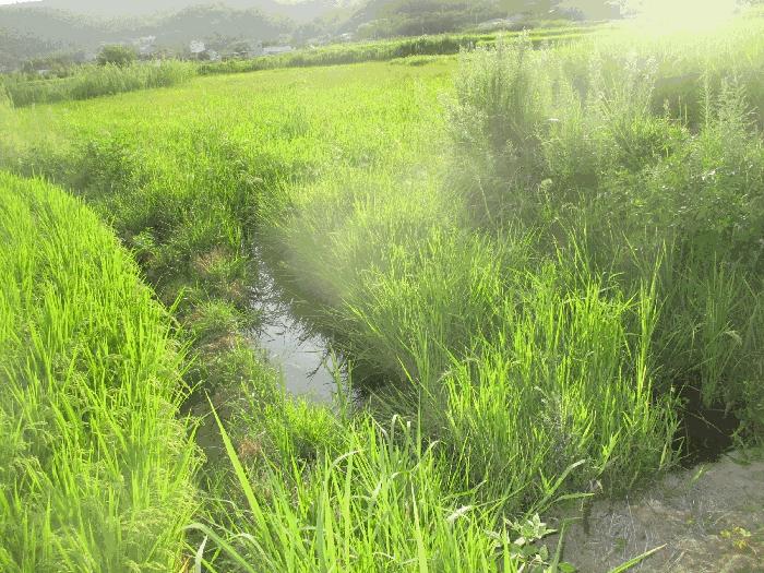 경상북도 포항시 북구 기계면 성계리 1160 법원경매 물건 대표사진